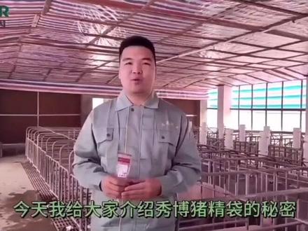 秀博猪精袋的秘密
