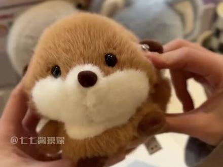 #拒绝废话#科普#冷知识#省流 #禁止废话#省流#冷知识#科普#dou是知识点