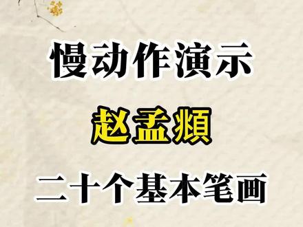 慢动作演示,赵孟頫二十个基本笔画 赶紧码住收藏#书法#书法练字#每日一练#赵孟頫#毛笔字
