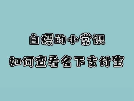 想知道自己身份证有没有被盗用绑定他人支付宝吗?教你一招快速查询。#查询 #注意防范 #涨知识 @DOU+上热门