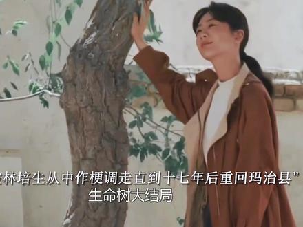 生命树大结局:多杰彻底消失,白菊头发变白苦找17年, 等来的却是一堆白骨#生命树 #生命树我将反复看 #抖音推流 #杨紫 #胡歌