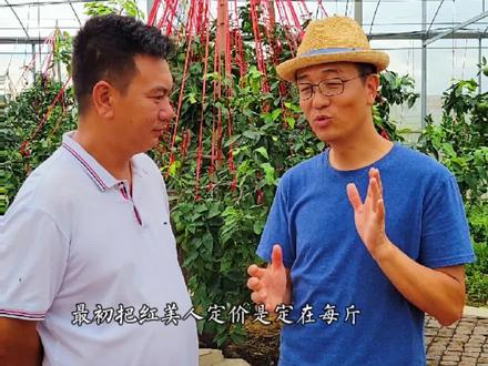 红美人的故事第四集上集,采访中国红美人第一人,了解红美人的前世今生#红美人柑橘#三农#共同富裕#农业#红美人第一人#抖音小助手#橘子陈