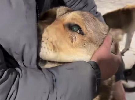 2026.2.7骏良直播回放1/2 #骏良#骏良直播回放