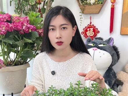 金鱼吊兰如何养护#养花#花卉绿植养护 #吊兰