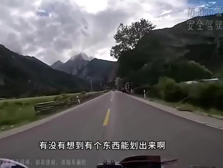 驾驶出行事故分析第301,跟车距离太近危险