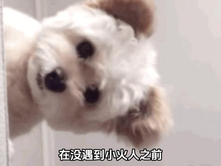 聊天再也不会冷场了 #多闪app#小火人AI聊天#多闪