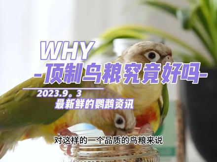 顶制鹦鹉鸟粮测评