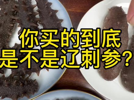 粉丝们你们买的到底是不是大连辽刺参,大叔淡干海参泡发好给你们看看区别!#辽参 #大连刺参#淡干海参#海参 #侯大叔海参