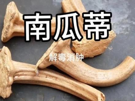 南瓜蒂,你平时把它丢了吗#中药
