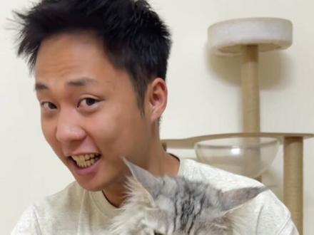 猫的性格是可以重新培养的 猫咪性格恢复出厂设置重新培养方法#猫咪 #养猫经验分享#养猫进阶指南#新手养猫