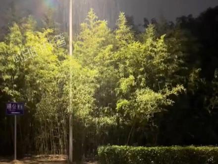 雨的种类居然也有这么多,看完颠覆你的认知 #雨 #涨知识 #下雨 #天气