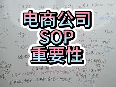 不要依赖人才标准SOP流程电商老板的命 #淘宝运营
