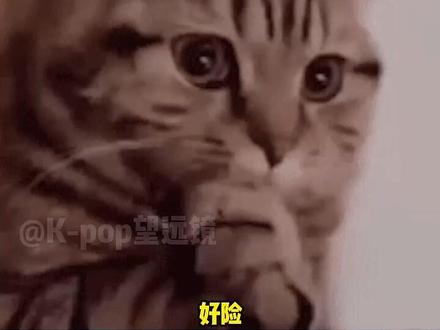 原来chiquita不知道overdrive挑战, YG能不能让宝怪拍一个队外challenge啊#chiquita