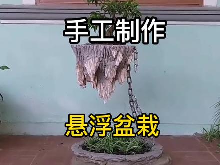 你知道怎么悬浮的吗#生活小妙招 #三农 #农村生活 #盆栽 #上热门