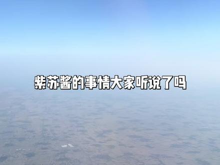 紫苏酱的事情大家听说了吗#食品安全 #飞机上的美景 #飞机