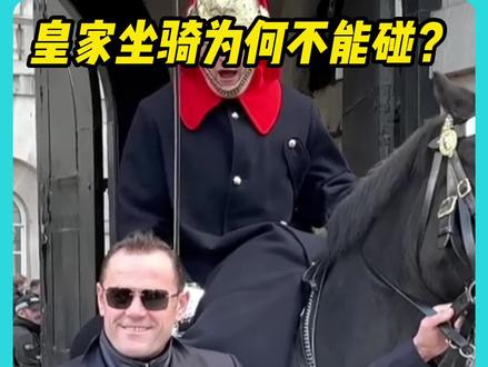 为何英国皇家骑兵的马不能碰,游客碰了皇家马匹,会有什么后果?