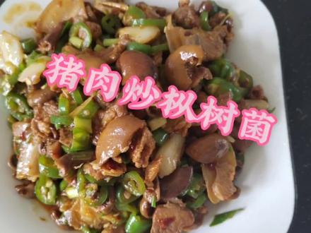 #做菜我是认真的努力做好每一道菜 捡枞树菌是会上瘾的,做成美味也是吃上瘾的,可以很多种做法,你知道几种?