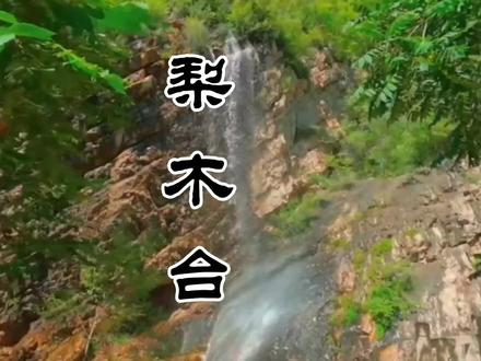 天津蓟县梨木台游玩路线:乘摆渡车(行驶3km)。走1km乘观光车(行驶3km)。
沿溪流徒步2km到梨树王。一路都是瀑布山泉。下山时沿栈道走,视野开阔看看风景。有一段0.6km的大理石滑道。#梨木台#天津旅游#天津游玩功略#亲子游玩好去处#蓟州旅游