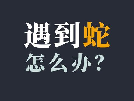 不幸遇到蛇,我们应该怎么办? #防蛇 #蛇 #生活常识 #打底子 #科普一下 #防蛇咬
