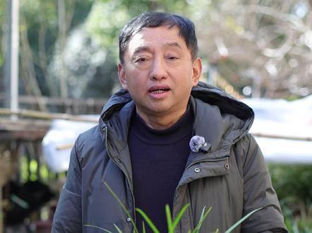 什么是春兰 #兰花 #兰花日常管理 #春兰