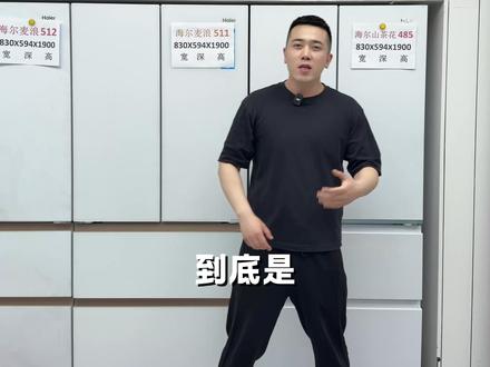 预算3000,山茶花485和麦浪511怎么选? #冰箱 #家电 #冰箱怎么选