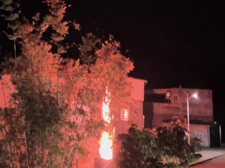 #烟花🎆 #星星爆炸 一束光,辞旧岁✨,新程款款来。