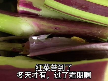腊肉更大的释放了菜苔的鲜味!#文刚说食材 #家常菜 #下饭菜 #美食 #用心做菜 #红菜苔 #美食推荐 @抖音小助手