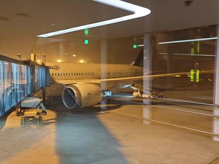 如果你买了沙特航空的特价中转机票,那请收下这份攻略#沙特航空 #特价机票 #中转攻略 #卡萨布兰卡 #国际机票