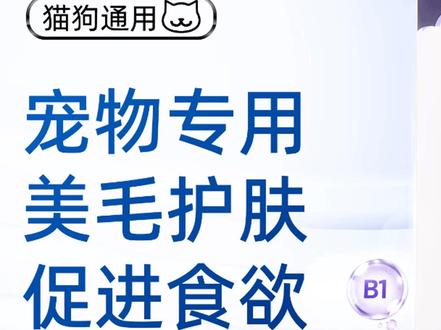 那普立【官旗】复合维生素B族口服溶液猫狗通用营养补充剂液体吸收 #猫狗通用保健品 #宠物营养补充剂 #液体易吸收口服液 #宠物健康用品 #猫狗复合维生素B族