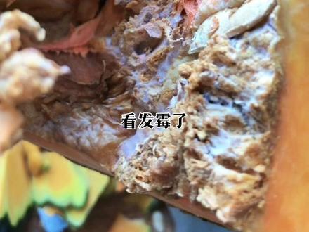 #不能出门的第n天 这种发霉的南瓜🎃把坏的去掉,吃了应该不会有问题吧🤔?算了,管他呢先填饱肚子再说吧😋#断粮了 #坚持不出门继续做贡献 #简简单单又一餐#记录真实生活