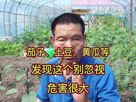 茄子、黄瓜、土豆等,发现这个别忽视,抓紧解决,要不蔬菜遭殃 #上热门🔥