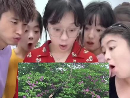 你们在找的氛围感毕业证ai指令来啦! #毕业季 #毕业照 #氛围感毕业照 毕业照ai指令 学士服毕业照ai指令 豆包毕业照p图 豆包毕业照p图教程 豆包毕业照p图指令#小云雀AI #小云雀AI一键图片设计
