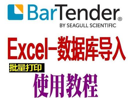 Bartender软件Excel数据库设置-批量打印-标签软件远程安装+激活 #bartender