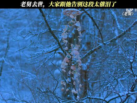 老舅去世,大家跟他告别这段太催泪了!#电视剧老舅