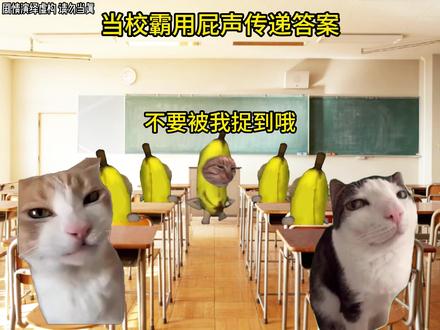 当校霸用屁声传递答案 #猫meme #搞笑 #抽象
