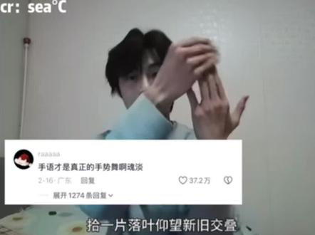 希望越来越多的人能够领略到这个手语手势舞的魅力啊#手语 #咏春 #咏春手语舞挑战 #手势舞 #吃瓜