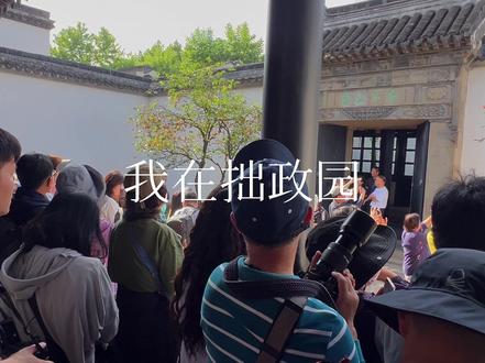 我在拙政园拍到了古人画里的《果熟来禽图》 #中式美学 #果熟来禽图