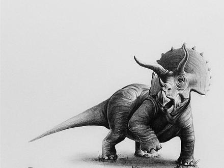 三角龙:???#手绘 #绘画过程 #画画 #想画就画 #美术 #一起学画画 #素描 #绘画 #恐龙