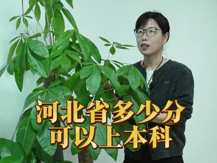 河北省多少分可以上本科#高考#升学规划#志愿填报#家长必读