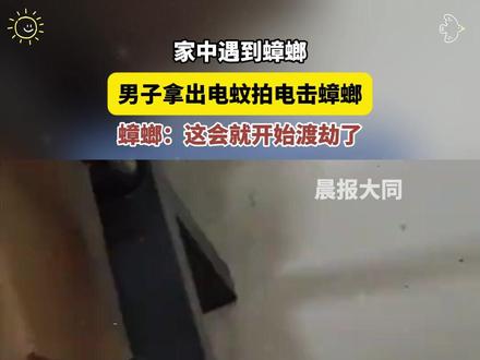 男子拿电蚊拍电击蟑螂。#蟑螂 #电蚊拍