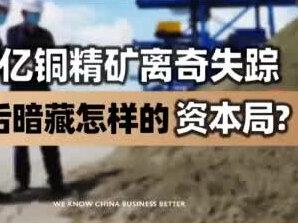 60亿铜精矿诈骗案,铜精矿,铜矿石 #铜精矿 #铜矿石