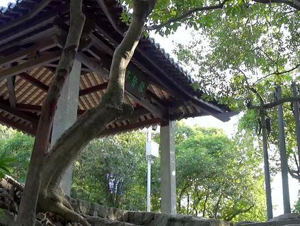 珠海#溯溪徒步 天花板,你不会还不知道吧!别只知道去露营啦。#长南迳古道 #你见过这样的珠海吗 #珠海高新区