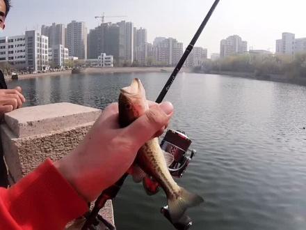 春暖花开 带友入坑#路亚 #大口鲈 #钓鱼 来一次第一视角完整视频