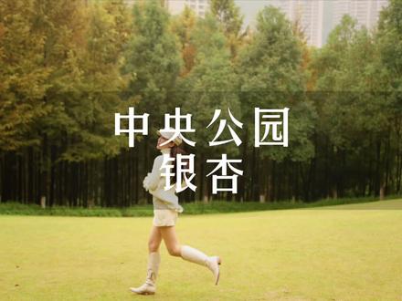 中央公园的银杏已经黄了,2周后将达到最美的样子#秋天 #落叶知秋 #重庆的秋天终于来了 #银杏