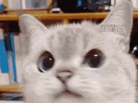 #狗总首次连麦被整红温了 在这个行情不稳定的阶段,狗总就像最严厉的父亲#狗总 #狗总每日直播总结 #狗总每晚8点半直播