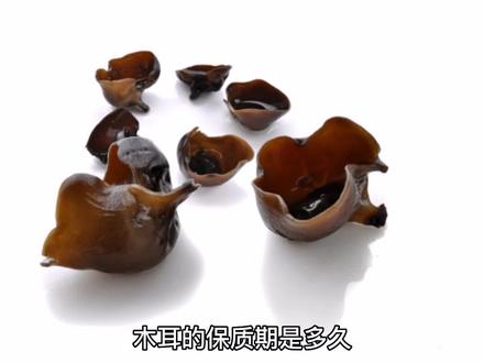好几年前的木耳,变没变质都建议你扔了吧,吃就吃当年新鲜货。#东北特产 #纯天然绿色食品 #健康养生