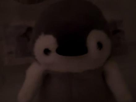 名下所有财产 赠予弟弟汤君赫#纸飞机