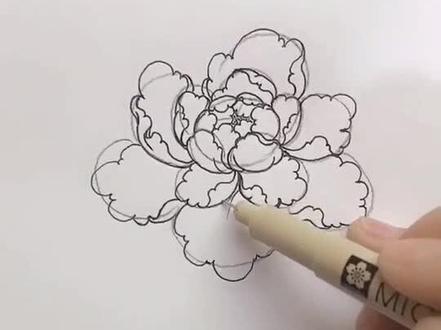 教大家牡丹花的大致画法。形态万千,大同小异。#玉雕设计 @抖音小助手