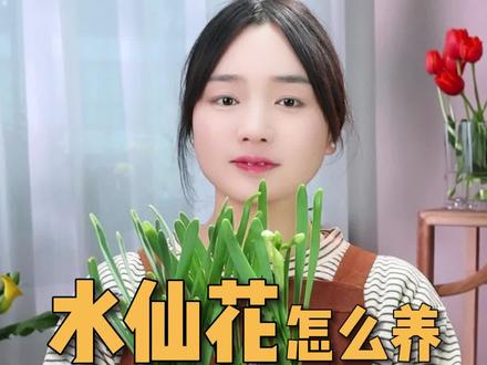 水仙花的日常养护 #花艺 #水仙花 #养护 #居家 #科普