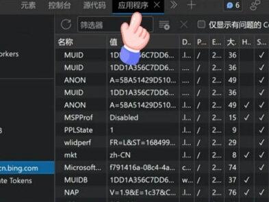 3步部署一个国内可以用bing chat,老板赞不绝口#bing #ai #newbing #人工智能 #微软